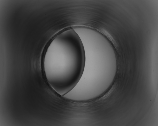 X0000090610884200707171042