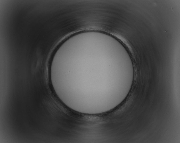 X0000090610886200707171042