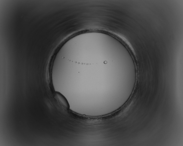 X0000090610887200707171042