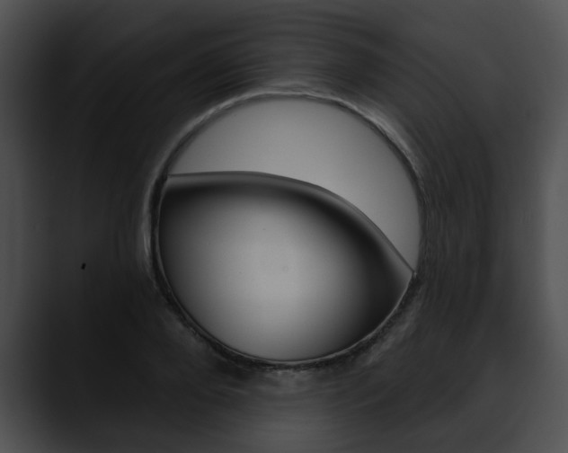 X0000090610888200707171042