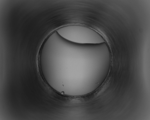 X0000090610899200707171042