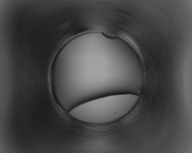 X0000090610907200707171042
