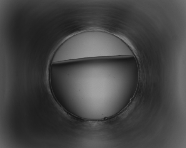 X0000090610910200707171042