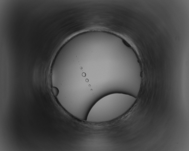 X0000090610911200707171042