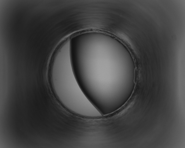 X0000090610924200707171041