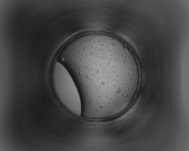 X0000090610925200707171041