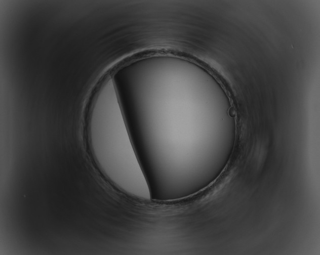 X0000090610927200707171041