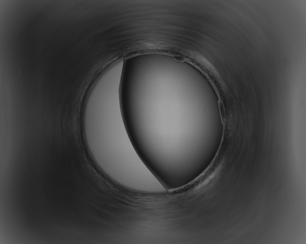 X0000090610930200707171041