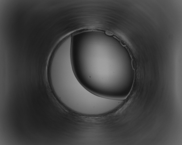 X0000090610932200707171041