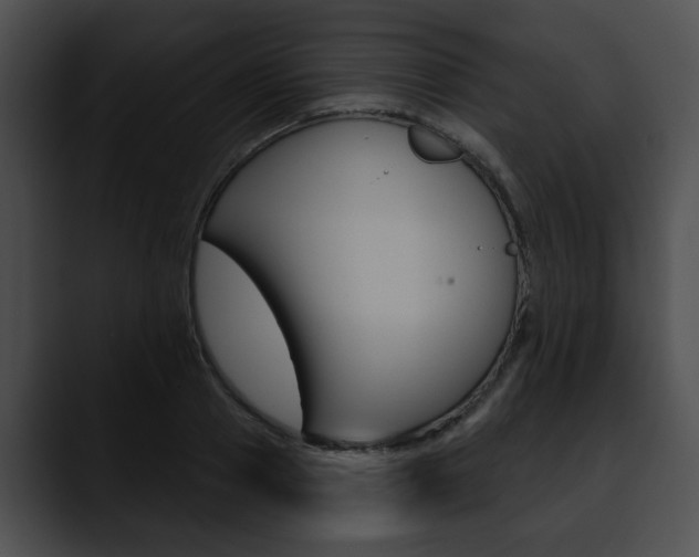 X0000090610937200707171041