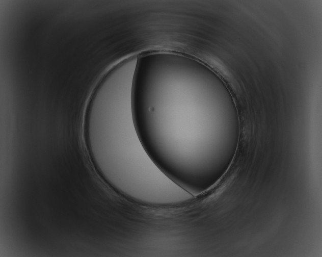 X0000090610940200707171041