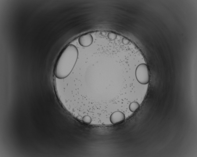 X0000090610950200707171041