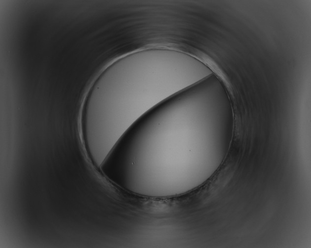 X0000090610955200707171041