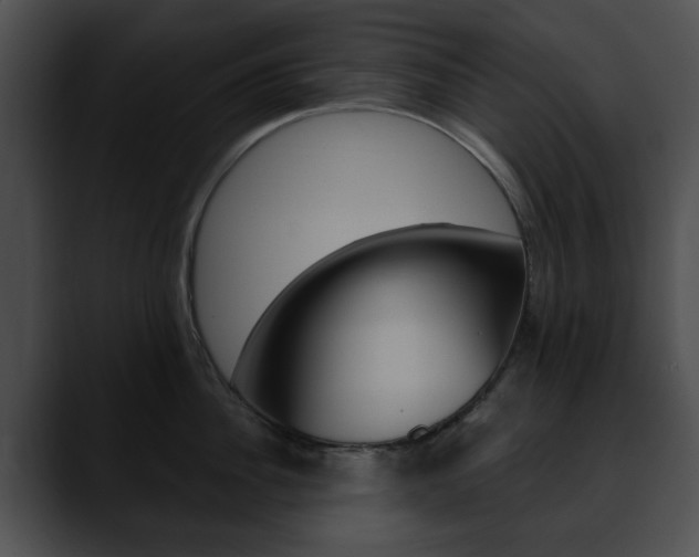 X0000090610956200707171041