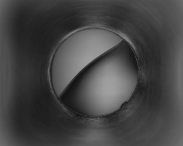 X0000090610959200707171042