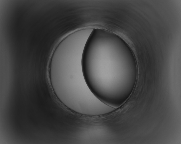 X0000090610960200707171042