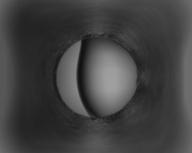 X0000090610961200707171041