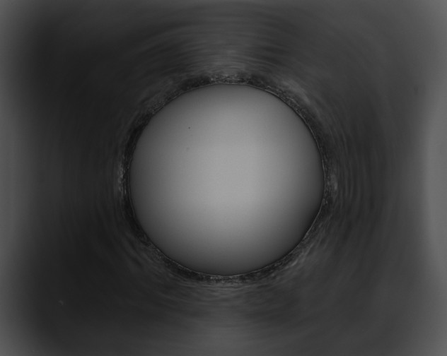 X0000090610964200707171041