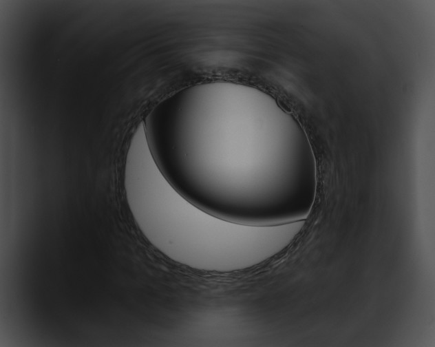 X0000090610965200707171041