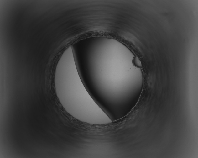 X0000090610968200707171041