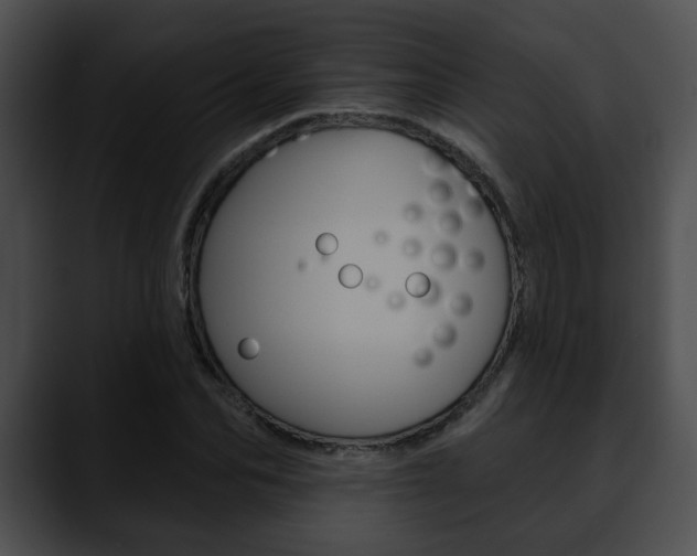 X0000090610974200707171041