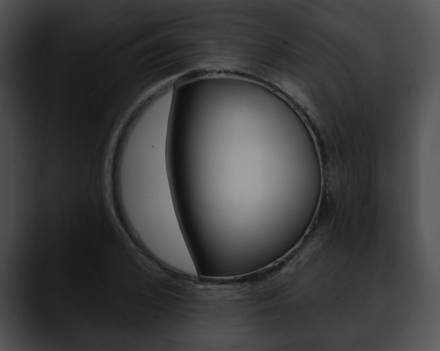 X0000090610976200707171041