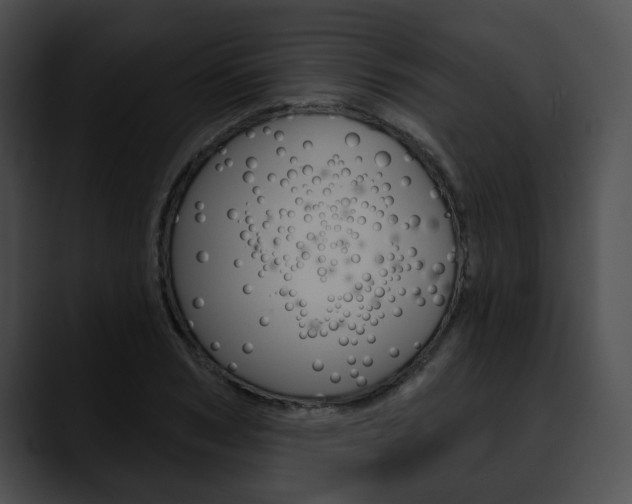 X0000090610978200707171041