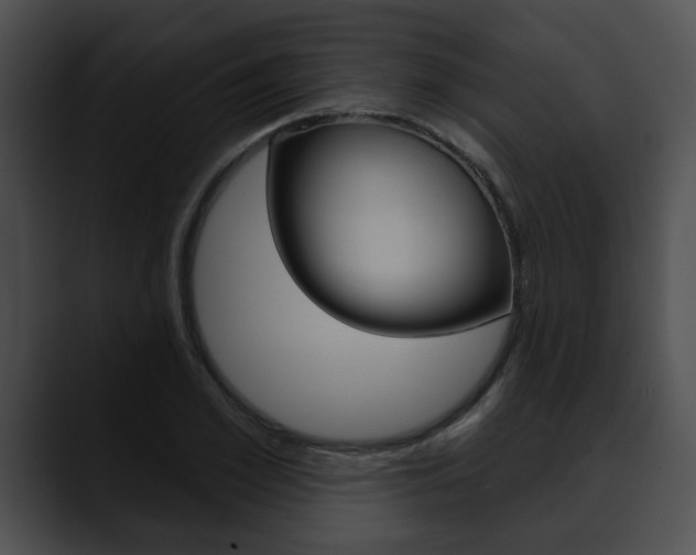 X0000090610981200707171041
