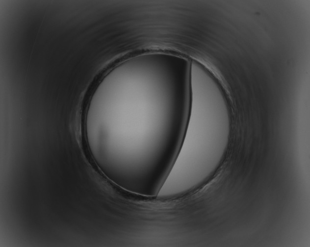 X0000090610984200707171041