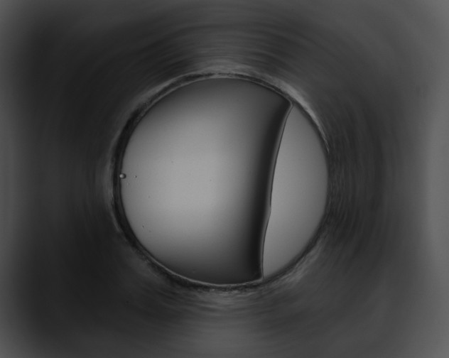 X0000090610987200707171041