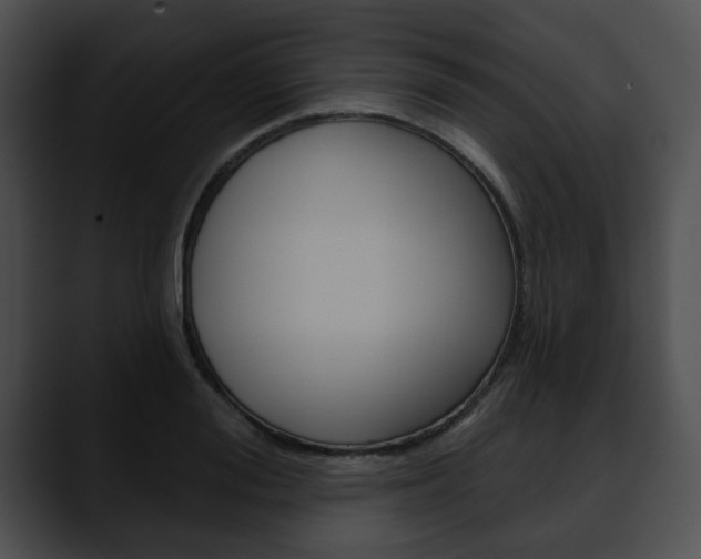 X0000090610988200707171041