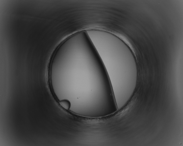 X0000090610999200707171041