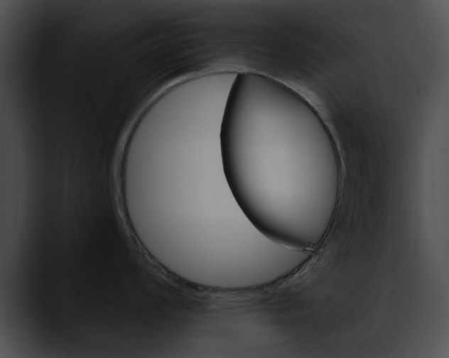 X0000090611008200707171040