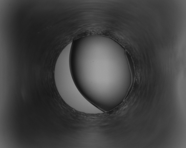 X0000090611010200707171040