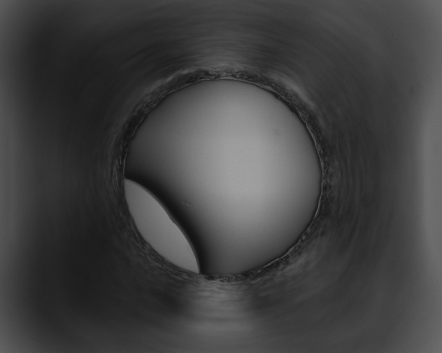 X0000090611016200707171040