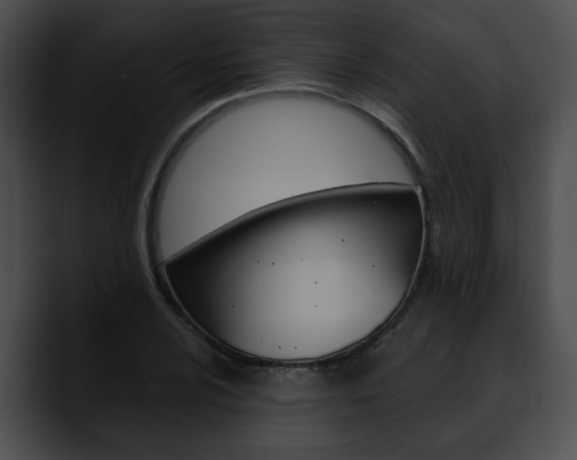 X0000090611024200707171040