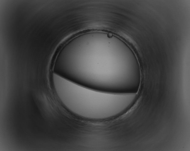 X0000090611029200707171040