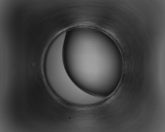 X0000090611038200707171040