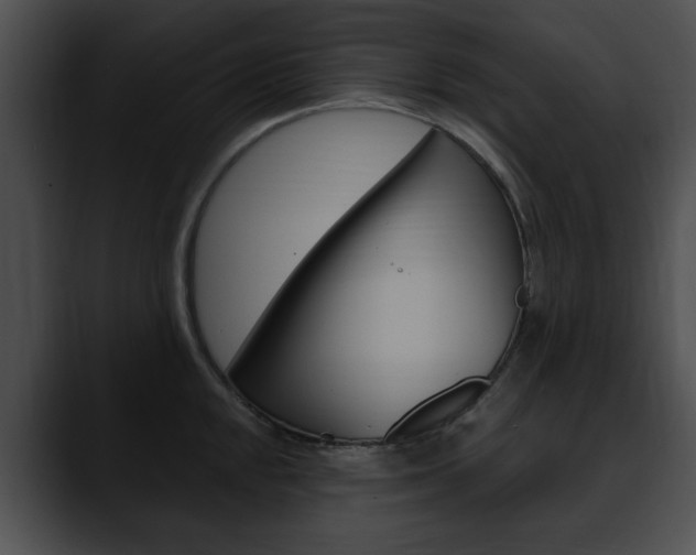 X0000090611048200707171040