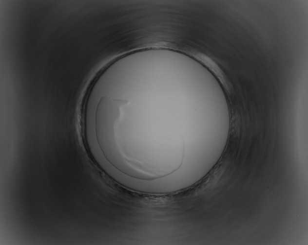 X0000090611051200707171040