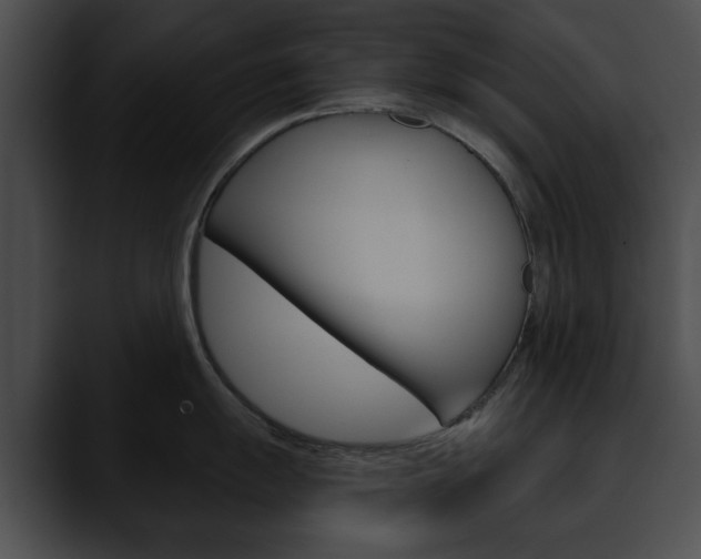 X0000090611055200707171040