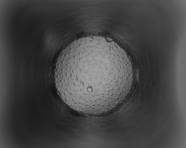 X0000090611059200707171040