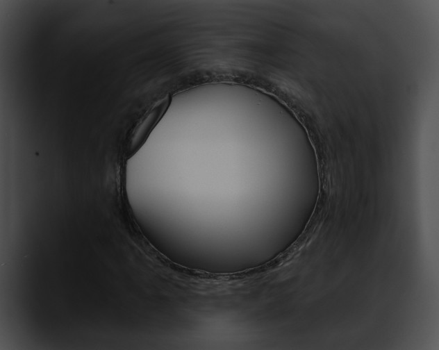 X0000090611061200707171040