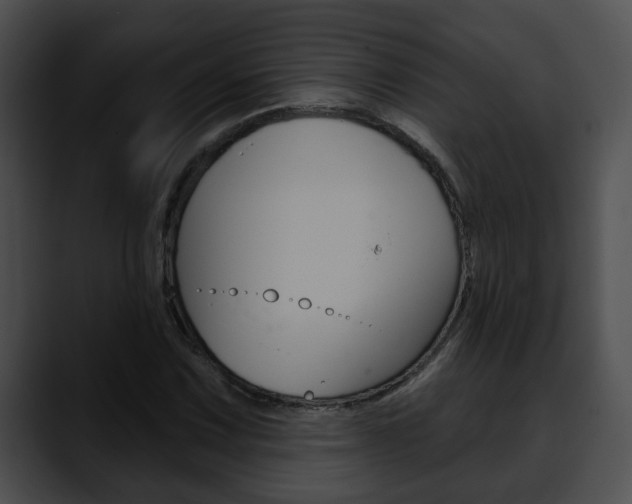 X0000090611067200707171040