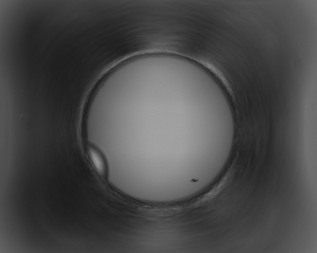X0000090611077200707171040