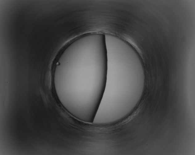 X0000090611079200707171040