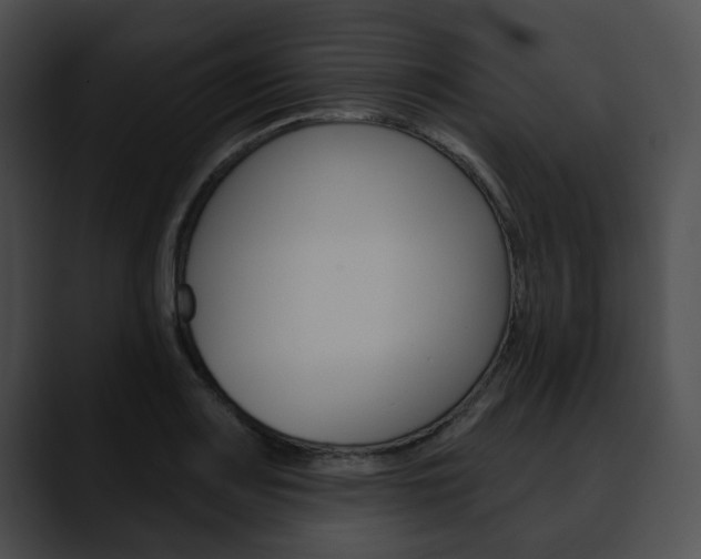 X0000090611083200707171040