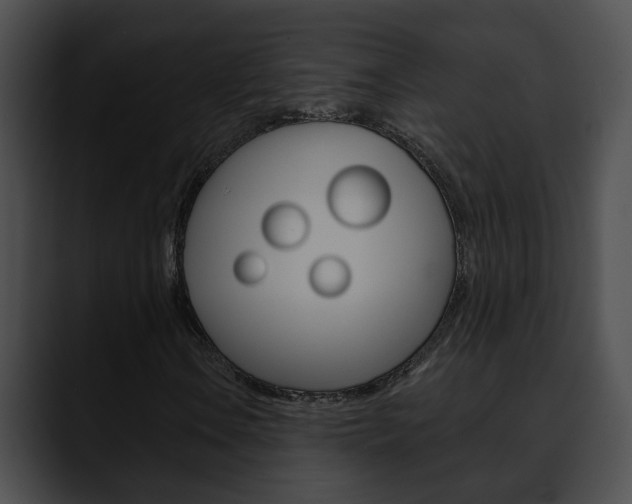 X0000090611106200707171039