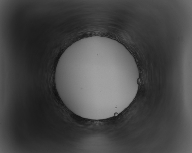X0000090611109200707171039
