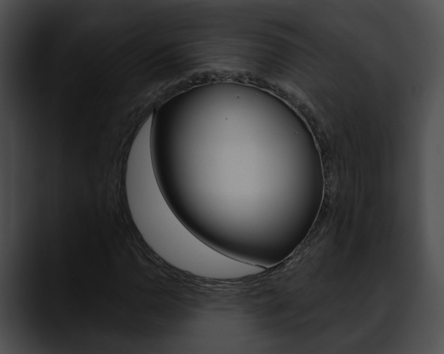 X0000090611110200707171039
